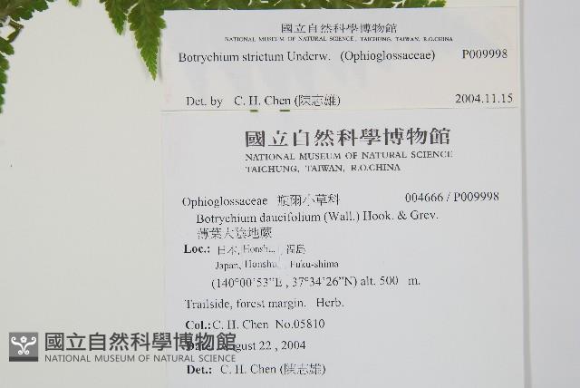 登錄號:P009998藏品圖，第2張