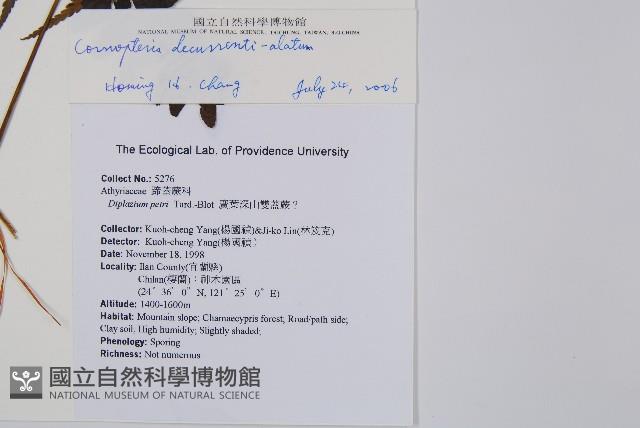 貞蕨藏品圖，第2張