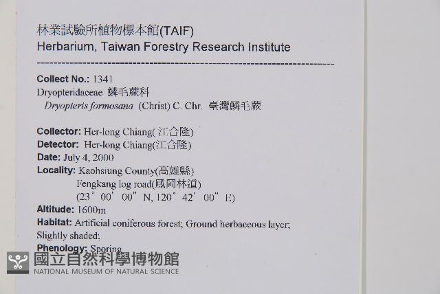 臺灣鱗毛蕨藏品圖，第2張