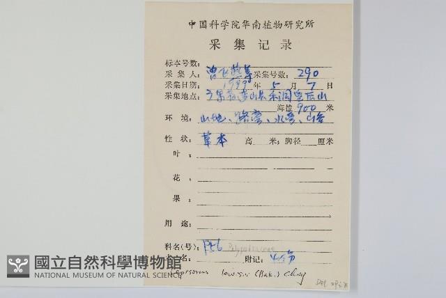 廬山瓦葦藏品圖，第2張