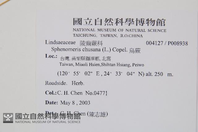 烏蕨藏品圖，第2張