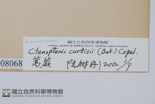 蒿蕨藏品圖，第2張