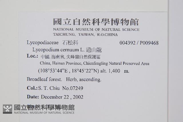 過山龍藏品圖，第2張