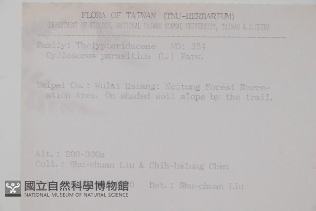 假蹄蓋蕨、東洋蹄蓋蕨藏品圖，第2張