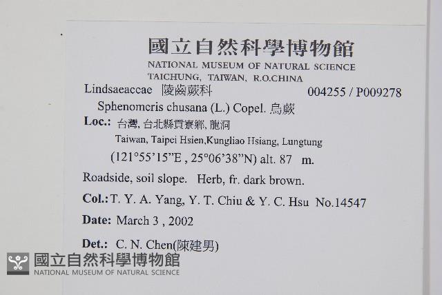 烏蕨藏品圖，第2張