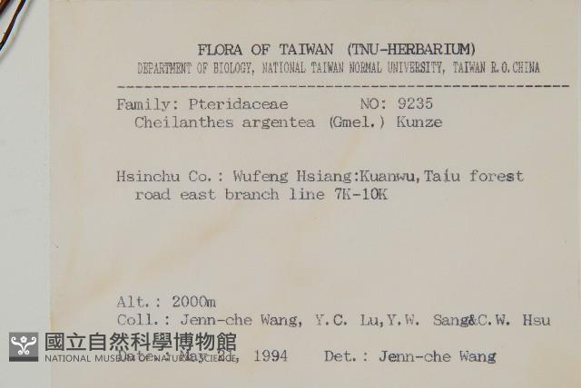 長柄粉背蕨藏品圖，第2張