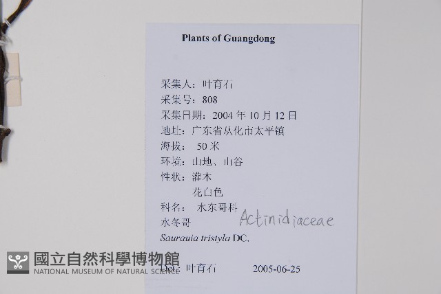 水東哥藏品圖，第2張