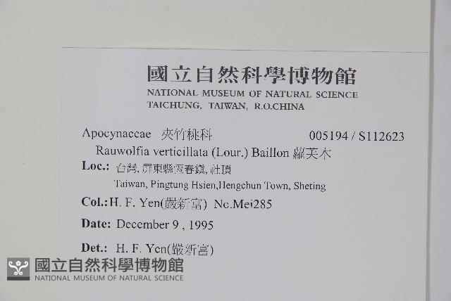 蘿芙木藏品圖，第2張