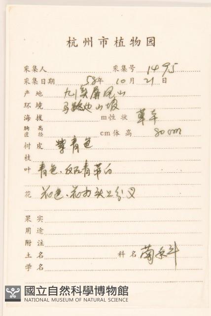 苦實菜藏品圖，第2張