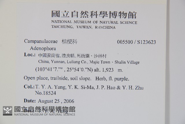 登錄號:S123623藏品圖，第2張