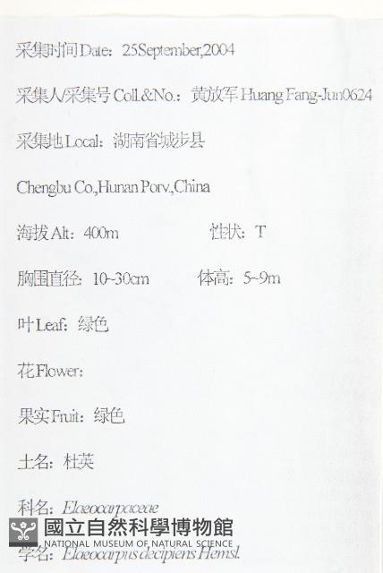 杜英藏品圖，第2張