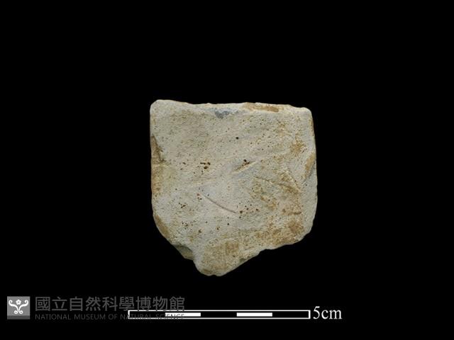 磨製斧鋤形器藏品圖，第2張