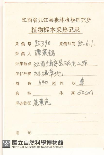 齒緣苦實藏品圖，第2張