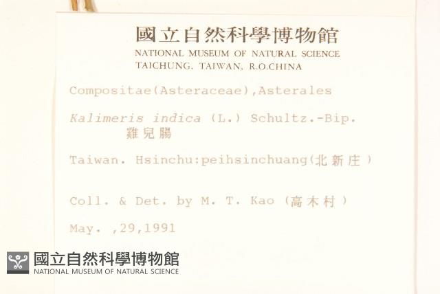 雞兒腸藏品圖，第2張