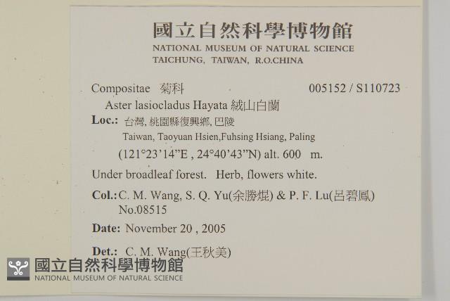 絨山白蘭藏品圖，第2張