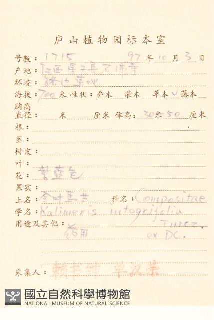 全葉馬蘭藏品圖，第2張