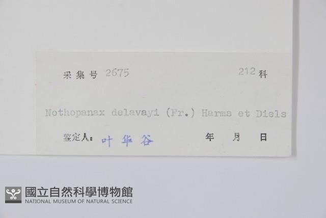 掌葉梁王茶藏品圖，第2張