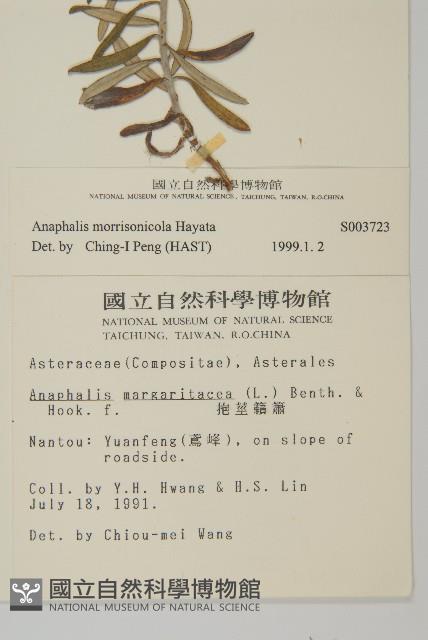 玉山抱莖籟簫藏品圖，第2張