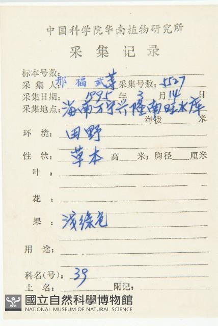 碎米薺藏品圖，第2張