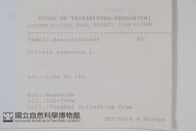 青葙藏品圖，第2張