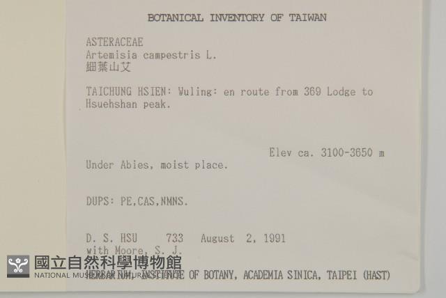 高山艾藏品圖，第2張