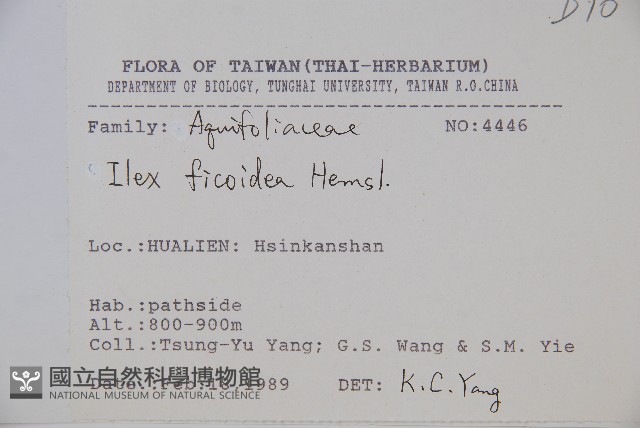 臺灣糊樗藏品圖，第2張