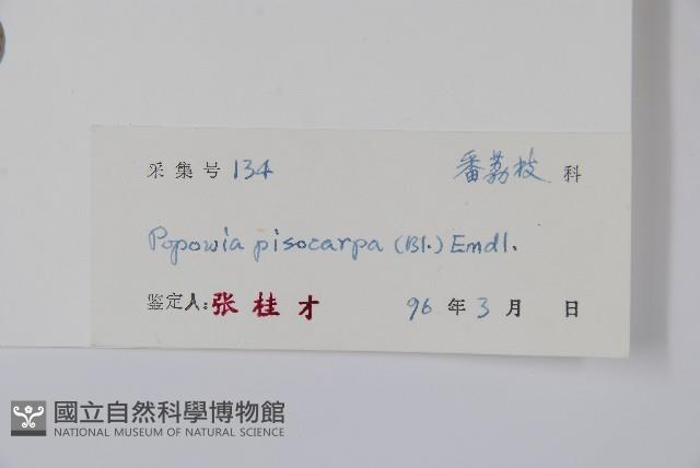 嘉陵花藏品圖，第2張