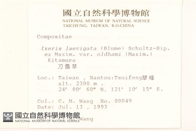 刀傷草藏品圖，第2張