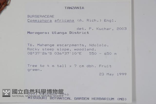 登錄號:S094223藏品圖，第2張