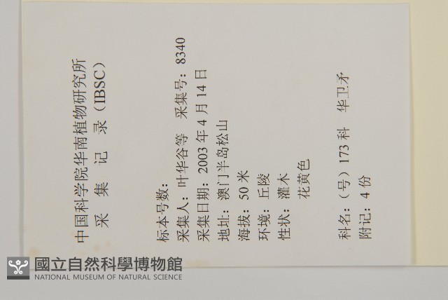 亮葉衛矛、中華衛矛藏品圖，第2張