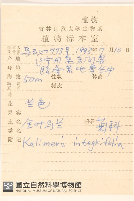全葉馬蘭藏品圖，第2張