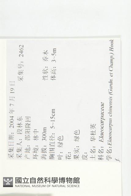 華杜英藏品圖，第2張