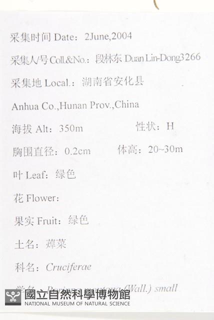 Accession Number:S111423 Collection Image, Figure 2, Total 2 Figures