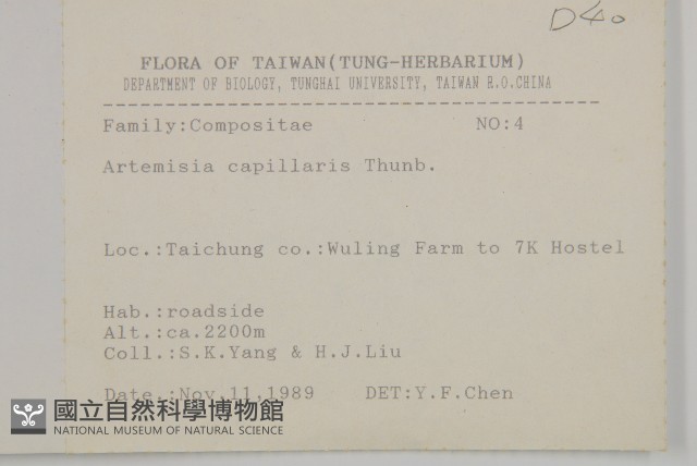 茵蔯蒿藏品圖，第2張