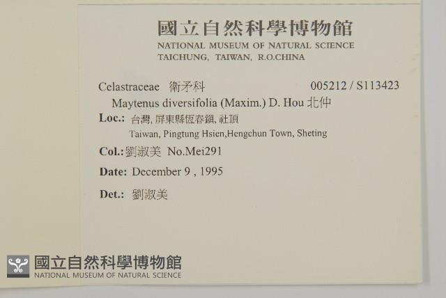 北仲, 刺裸實藏品圖，第2張