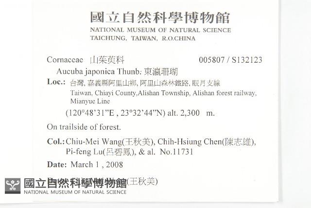 東瀛珊瑚藏品圖，第2張