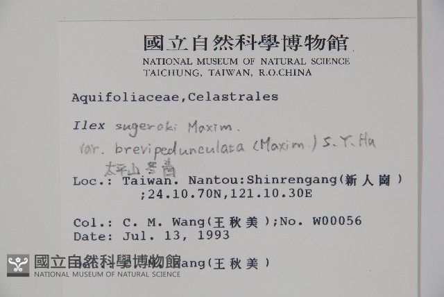 太平山冬青藏品圖，第2張