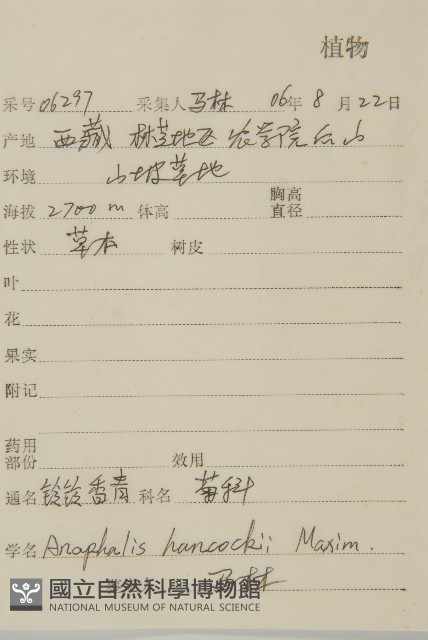 零零香藏品圖，第2張