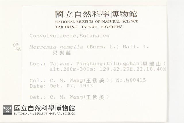 菜欒藤藏品圖，第2張