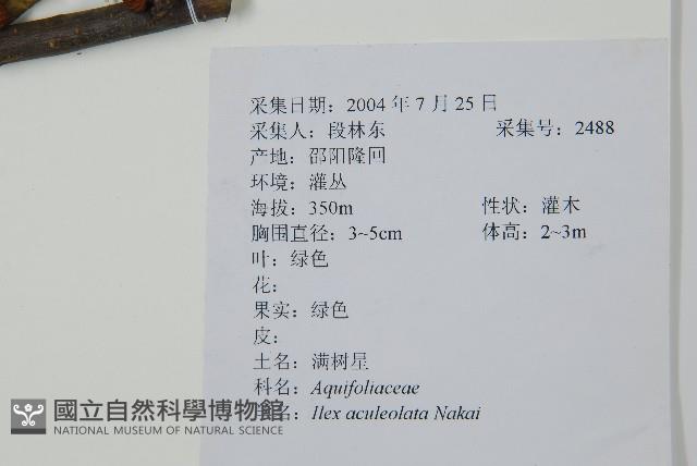 鼠李冬青、滿樹星藏品圖，第2張