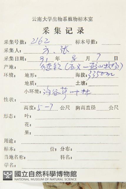 梜木藏品圖，第2張