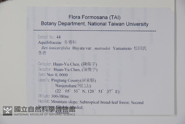 松田氏冬青藏品圖，第2張