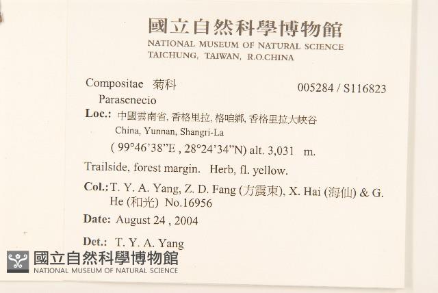 登錄號:S116823藏品圖，第2張