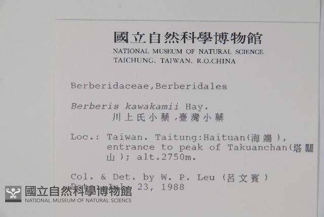 臺灣小蘗藏品圖，第2張