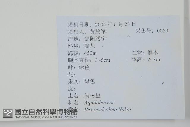 鼠李冬青、滿樹星藏品圖，第2張