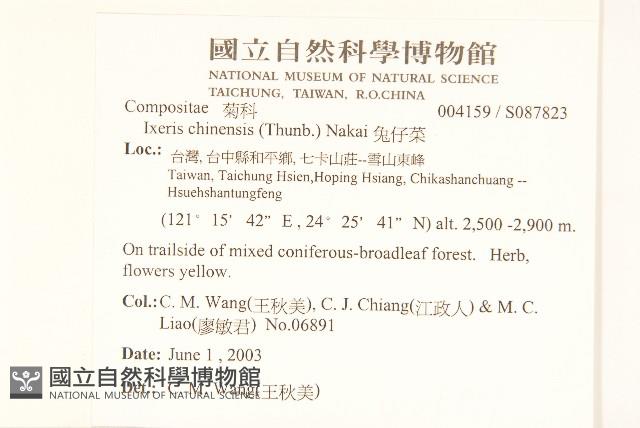 兔仔菜藏品圖，第2張