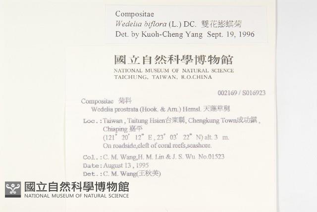 天蓬草舅藏品圖，第2張