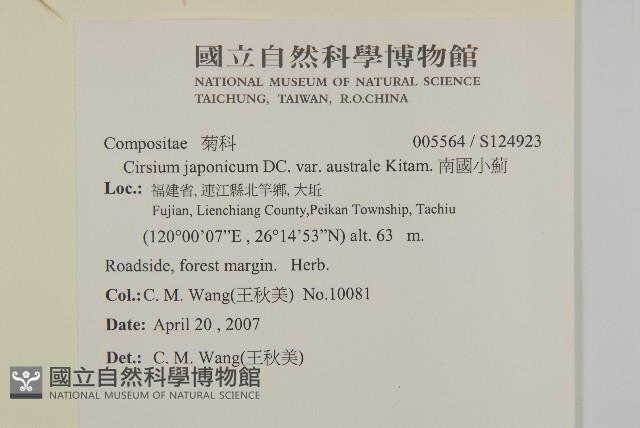 南國小薊藏品圖，第2張