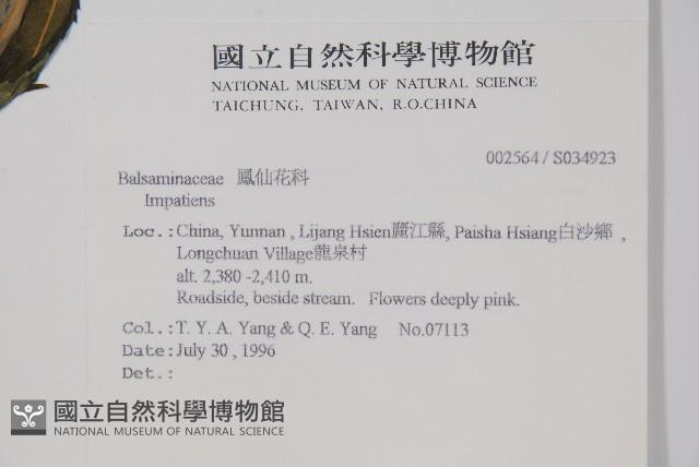 登錄號:S034923藏品圖，第2張