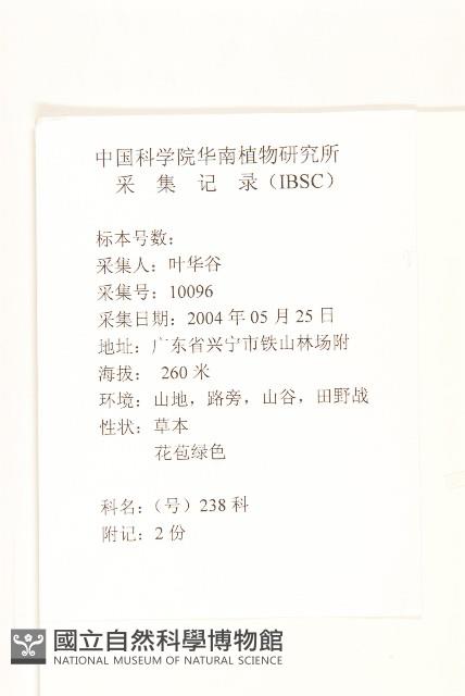 鵝仔草藏品圖，第2張
